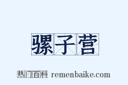 骡子营是什么意思的图片